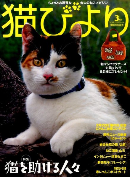 猫びより 80号 (発売日2015年02月12日) 表紙