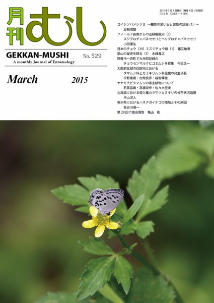 月刊むし 529 (発売日2015年02月21日) 表紙