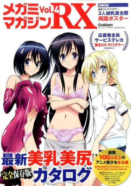 メガミマガジンRX vol.4 (発売日2014年08月28日) 表紙