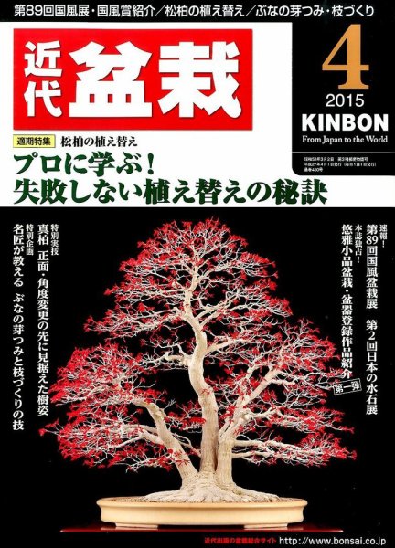 月刊 近代盆栽 2015年4月号 (発売日2015年03月04日) 表紙