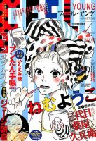 フィールヤング 表紙