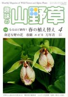 趣味の山野草 2015年4月号 (発売日2015年03月12日) 表紙