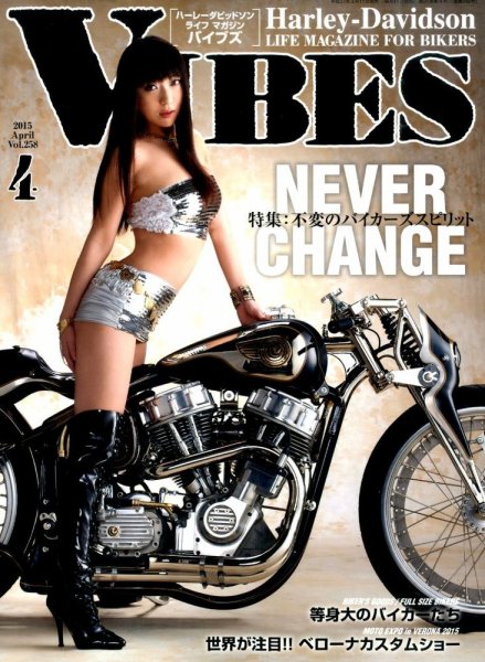 VIBES（バイブズ） 2015年4月号 (発売日2015年03月11日) 表紙