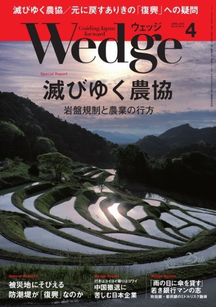 Wedge（ウェッジ） 2015年4月号 (発売日2015年03月20日) 表紙