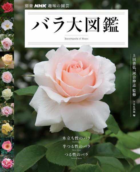 別冊NHK趣味の園芸 バラ大図鑑 2014年10月18日発売号 表紙