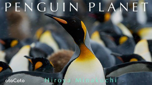 PENGUIN PLANET 2014年10月17日発売号 表紙