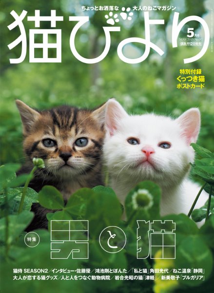 猫びより 81号 (発売日2015年04月12日) 表紙