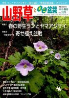 山野草とミニ盆栽 2015年5月号 (発売日2015年04月11日) 表紙