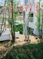 住宅特集 2015年5月号 表紙
