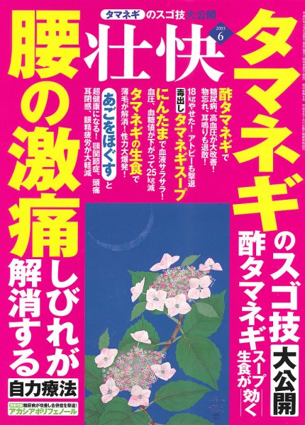 壮快 2015年6月号 (発売日2015年04月16日) 表紙