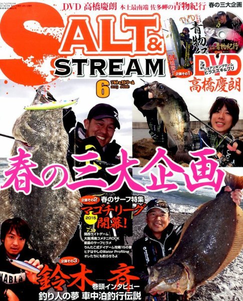 SALT＆STREAM（ソルト＆ストリーム） 2015年6月号 (発売日2015年04月21日) 表紙