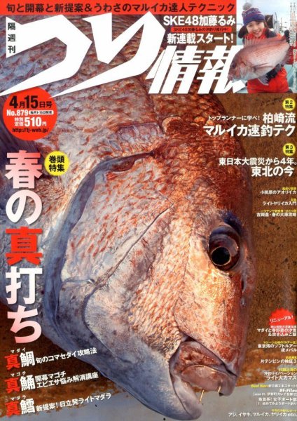 つり情報 2015年4/15号 (発売日2015年04月01日) 表紙
