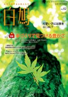 白鳩 No.62 表紙