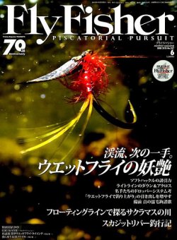 超希少 備前貢さん サーモンフライ 額装 超希少 備前貢さん サーモンフライ 額装