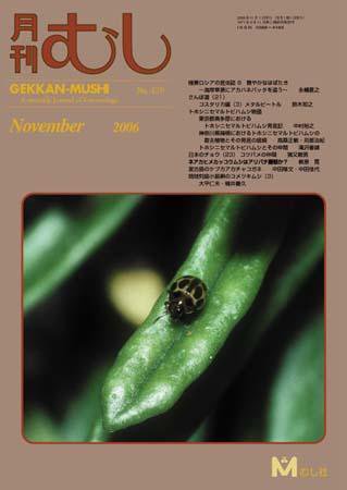 月刊むし 429 (発売日2006年10月20日) 表紙