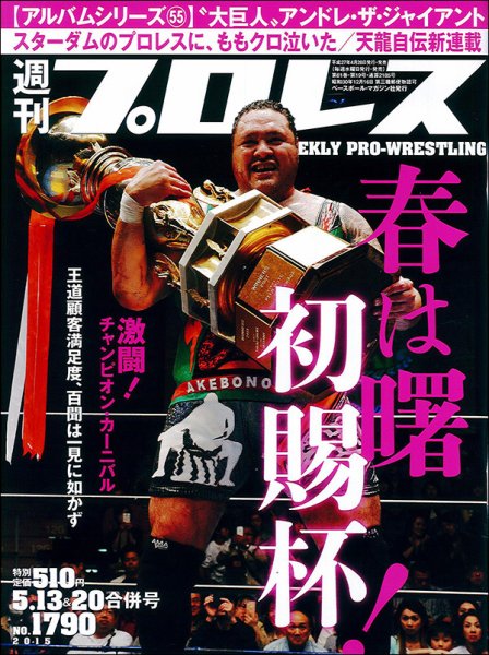 週刊プロレス 2015年5/13・20合併号 (発売日2015年04月28日) 表紙