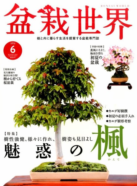 盆栽世界 2015年6月号 (発売日2015年05月02日) 表紙