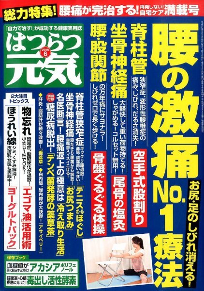 はつらつ元気 2015年6月号 (発売日2015年05月01日) 表紙