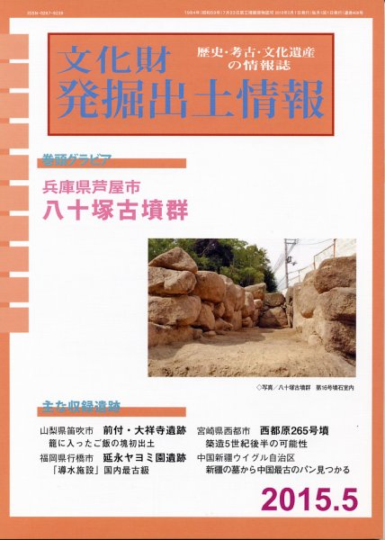 文化財発掘出土情報 5月号 (発売日2015年05月01日) 表紙