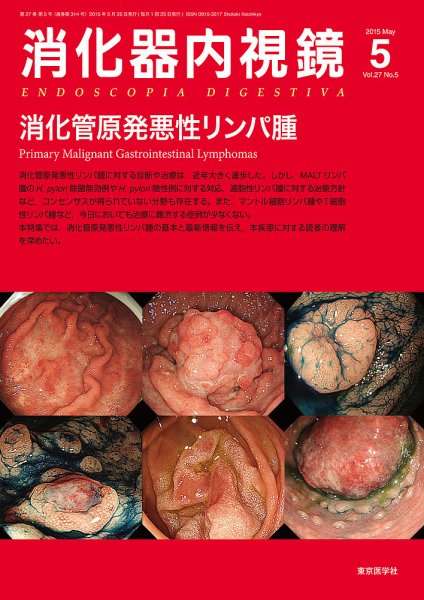 消化器内視鏡 15年5月号 (発売日2015年05月25日) 表紙
