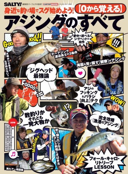 ＜０から覚える＞アジングのすべて ＜０から覚える＞アジングのすべて (発売日2014年11月11日) 表紙
