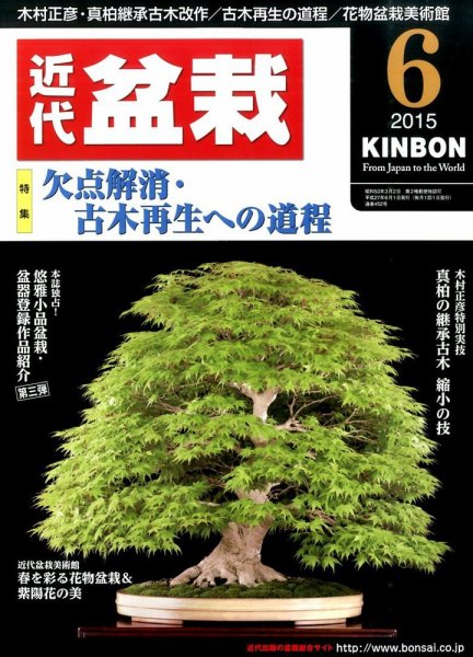 月刊 近代盆栽 2015年6月号 (発売日2015年05月02日) 表紙
