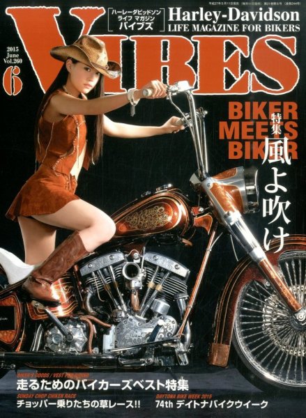 VIBES（バイブズ） 2015年6月号 (発売日2015年05月11日) 表紙