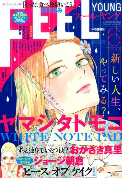 フィールヤング 2015年6月号 (発売日2015年05月08日) 表紙