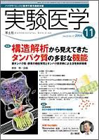 実験医学 Vol.24No.17 表紙
