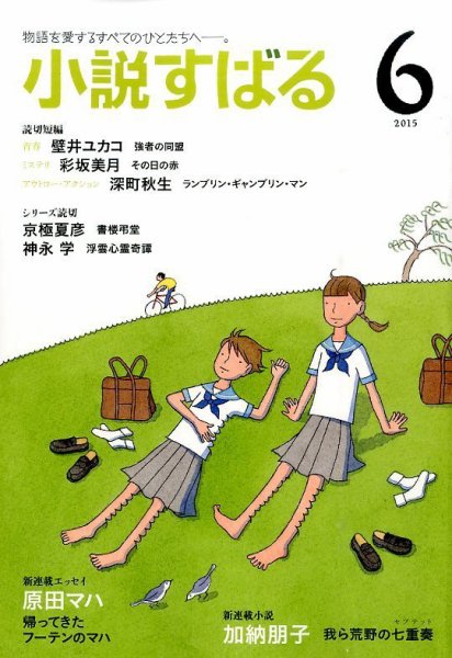 小説すばる 2015年6月号 (発売日2015年05月16日) 表紙