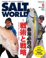 SALT WORLD（ソルトワールド） 2015年6月号 表紙