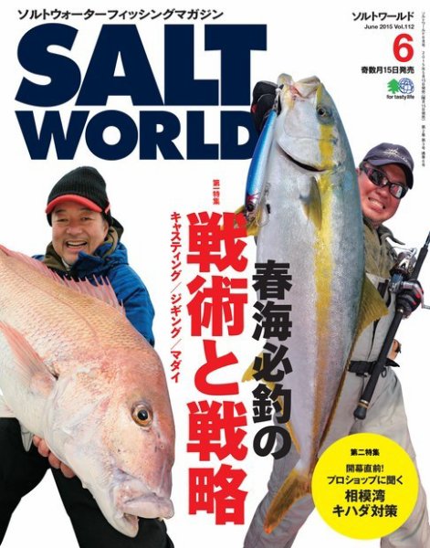 SALT WORLD（ソルトワールド） 2015年6月号 (発売日2015年05月15日) 表紙