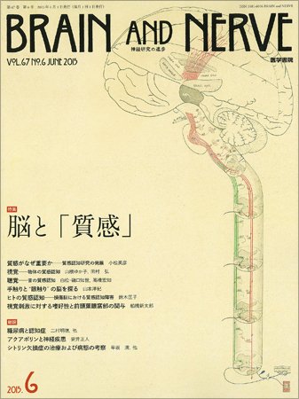 BRAIN and NERVE（ブレインアンドナーブ） Vol.67 No.6 (発売日2015年06月01日) 表紙
