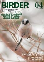 ワシ・タカなど猛禽類特集号 7冊「BIRDER（バーダー）2010~2017年」-