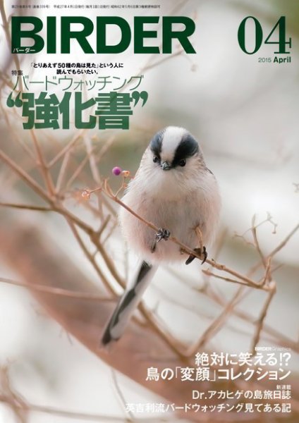 BIRDER（バーダー） 2015年4月号 (発売日2015年03月16日) 表紙