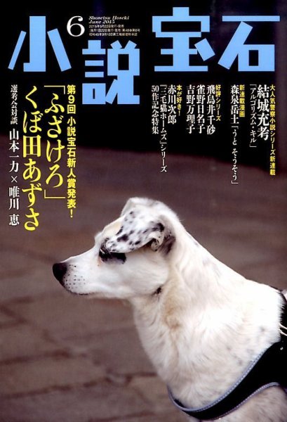 小説宝石 2015年6月号 (発売日2015年05月22日) 表紙
