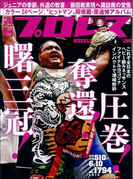 週刊プロレス 2015年6/10号 (発売日2015年05月27日) 表紙