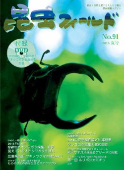 昆虫フィールド 91号 夏号 (発売日2015年07月01日) 表紙
