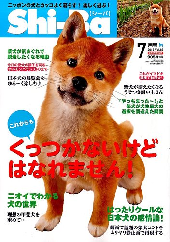 Natural Monuments 柴犬 SP0003 INVASION 希少 置物 柴犬 犬