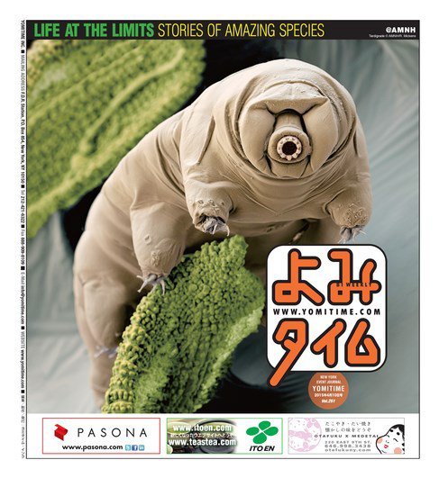 よみタイム（YOMITIME） Vol.251 (発売日2015年04月10日) 表紙