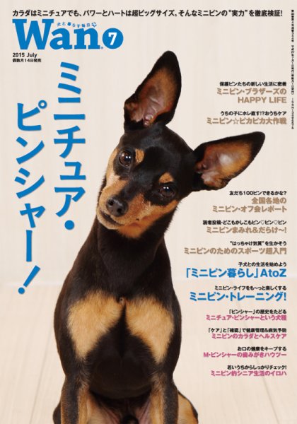 wan（わん） 2015年7月号 (発売日2015年06月13日) 表紙
