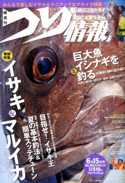 つり情報 2015年6/15号 (発売日2015年06月01日) 表紙