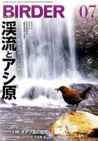 BIRDER（バーダー） 2015年7月号 表紙