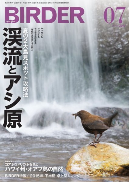 BIRDER（バーダー） 2015年7月号 (発売日2015年06月16日) 表紙