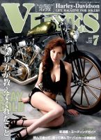 バイブス　VIBES 2014年 10月〜2015年12月までの 15冊 Amazon.com: Vibes (baibuzu) 2014 Year October