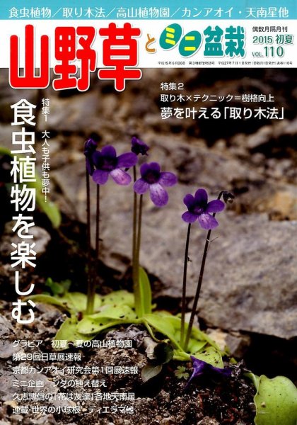 山野草とミニ盆栽 2015年7月号 (発売日2015年06月12日) 表紙