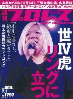 週刊プロレス 2015年7/1号 表紙