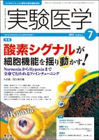実験医学 Vol.33No.11 (発売日2015年06月20日) 表紙