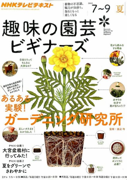 NHK 趣味の園芸ビギナーズ  2015年7～9月号 (発売日2015年06月20日) 表紙
