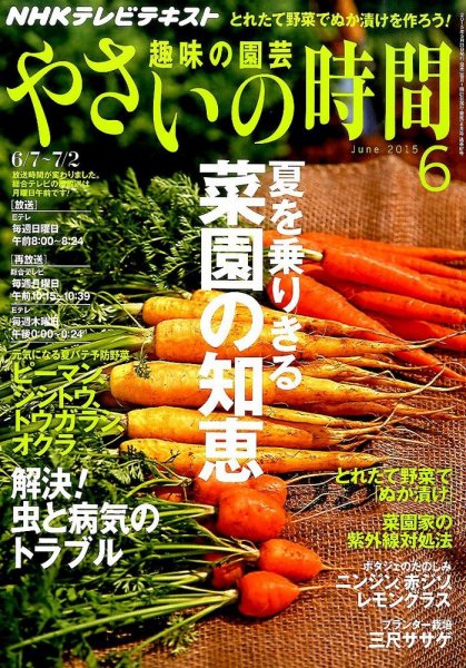 NHK 趣味の園芸 やさいの時間 2015年6月号 (発売日2015年05月21日) 表紙